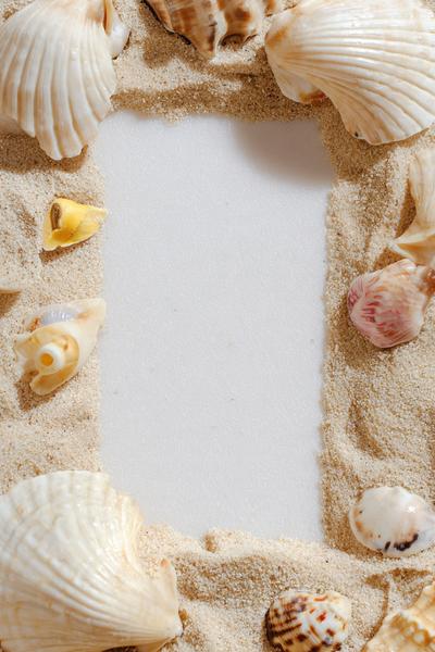 5. Muschelrahmen mit Sandstruktur als basteln ideen sommer für Urlaubserinnerungen