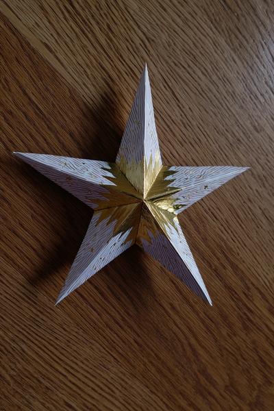 21. Origami-Stern aus Papier für Basteln mit Kindern Weihnachten Papier mit scharfen Faltkanten und Metallic-Akzent