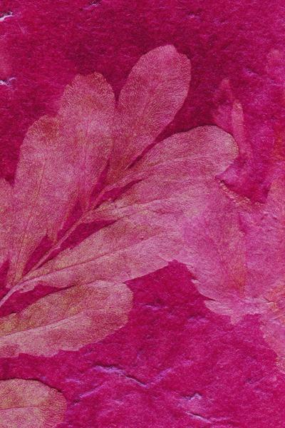 32. Naturfarben-Papierdruck für Basteln mit Kindern Weihnachten Waldorf mit Rote-Bete-Ton und Blattstruktur