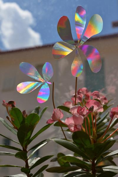 11. Sonnenfänger aus Folie beim Basteln mit Kindern Sommer mit Regenbogenlicht und Pflanzenmotiven