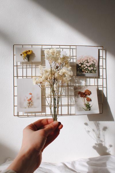 10. Minimalistisches Wandgitter für Basteln und Selbermachen Deko mit Fotos und Trockenblumen