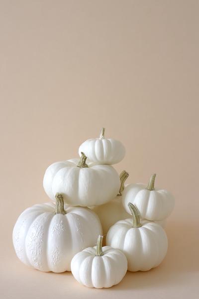 15. Kürbis-Vasen aus bemalten Mini-Kürbissen für Basteln und Selbermachen Herbst in Weiß