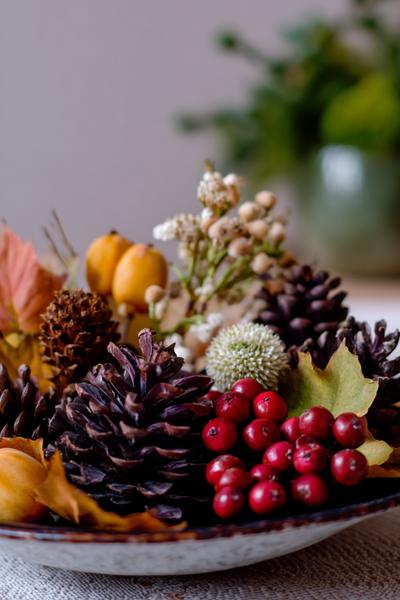 17. Herbstliche Kranzschale für Basteln und Selbermachen Herbst mit Zapfen und Beeren