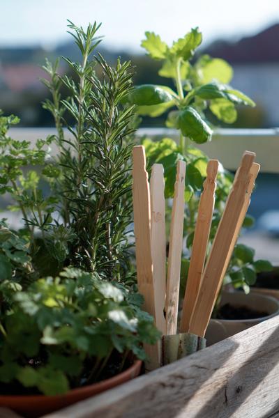 29. Kräuterschilder aus Holzstäbchen für Basteln und Selbermachen Holz im Balkonkasten
