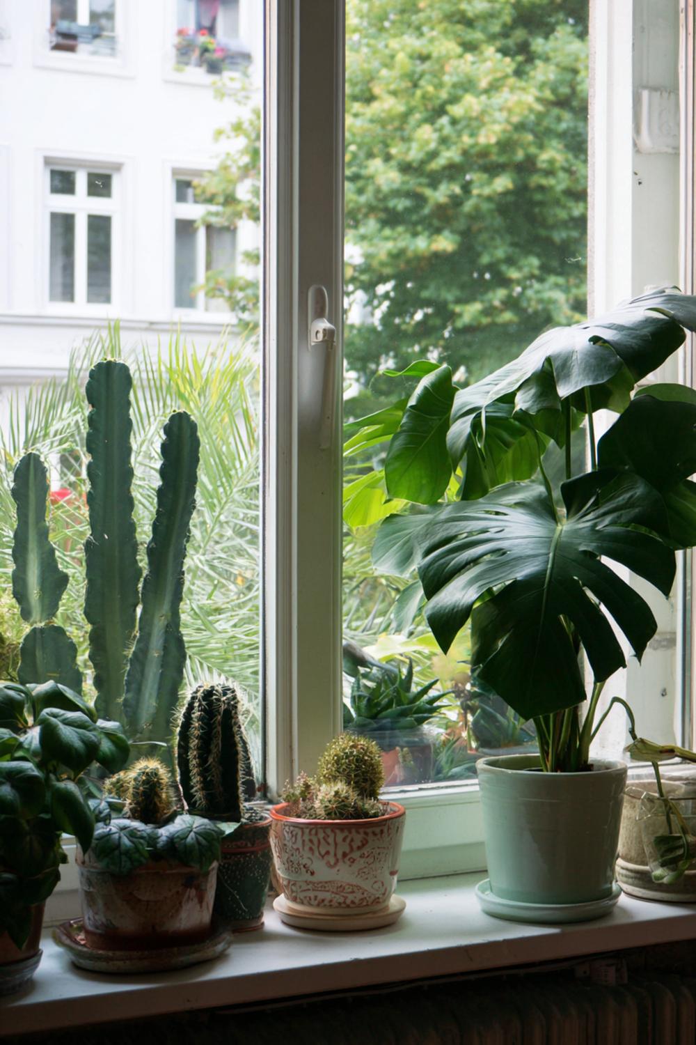 20 Fensterbank dekorieren Ideen: Stilvolle Szenen für jedes Zuhause