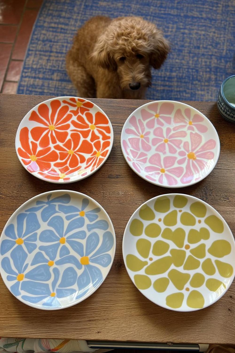 Große Blüten in leuchtenden Farben