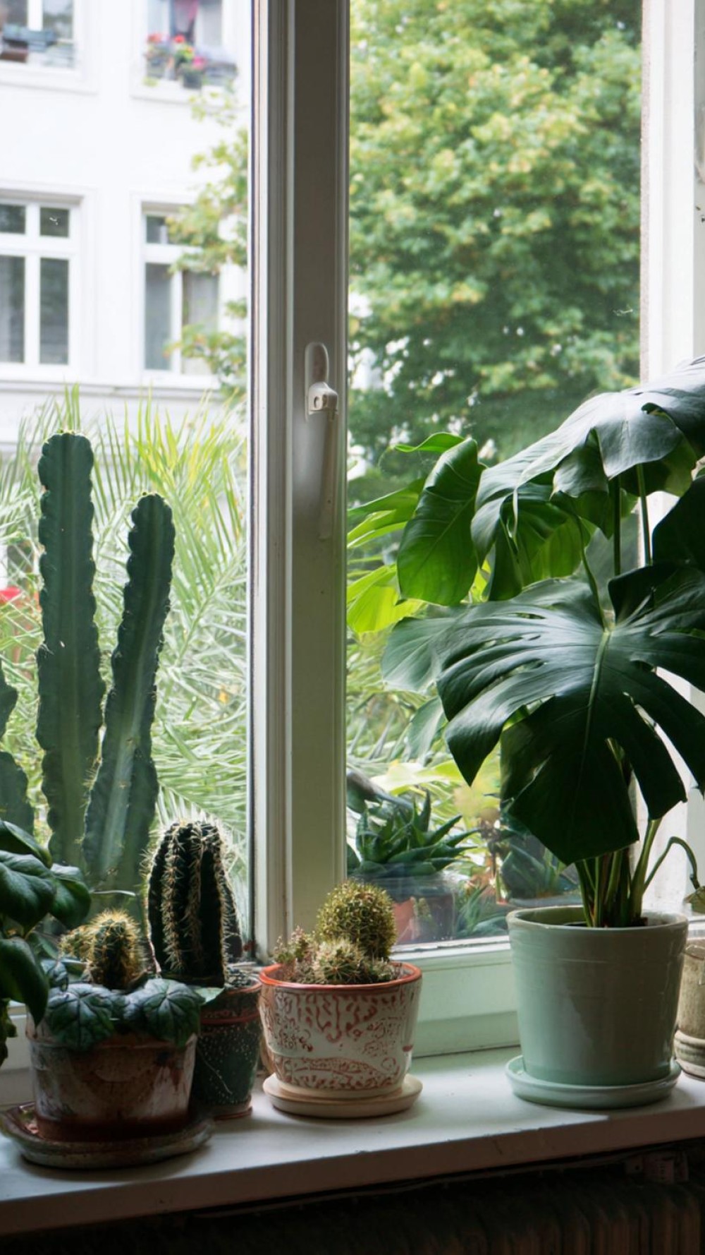 20 Tipps für pfiffige Fensterszenen